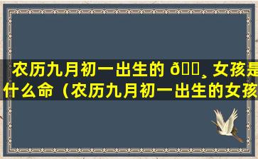 农历九月初一出生的 🌸 女孩是什么命（农历九月初一出生的女孩是什么命的）